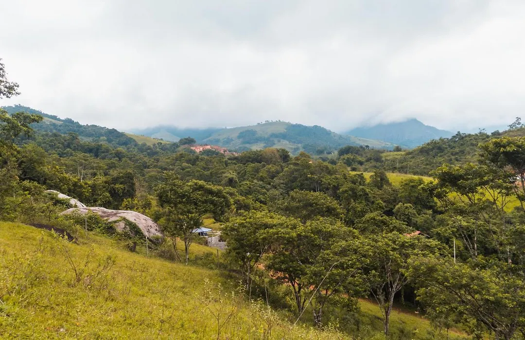 Ecocasa azul - Chalé na mata-1