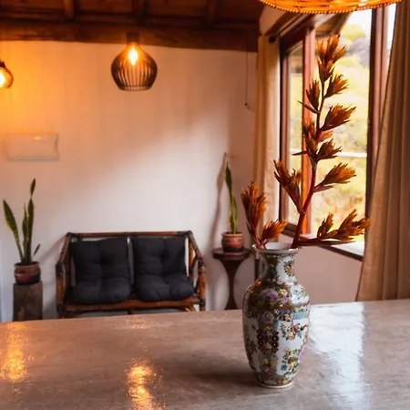 Ecocasa azul - Chalé na mata-2